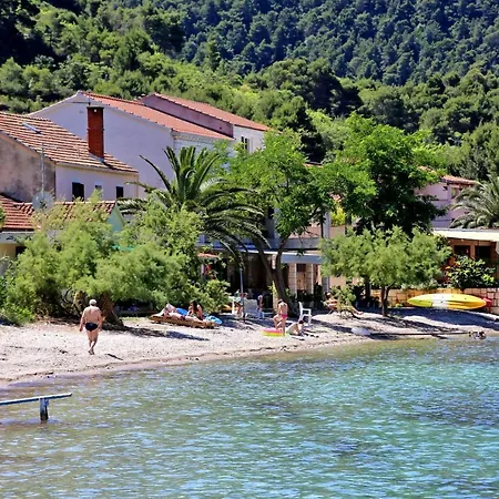 By The Sea Zuljana, Peljesac - 19841 Lejlighed *